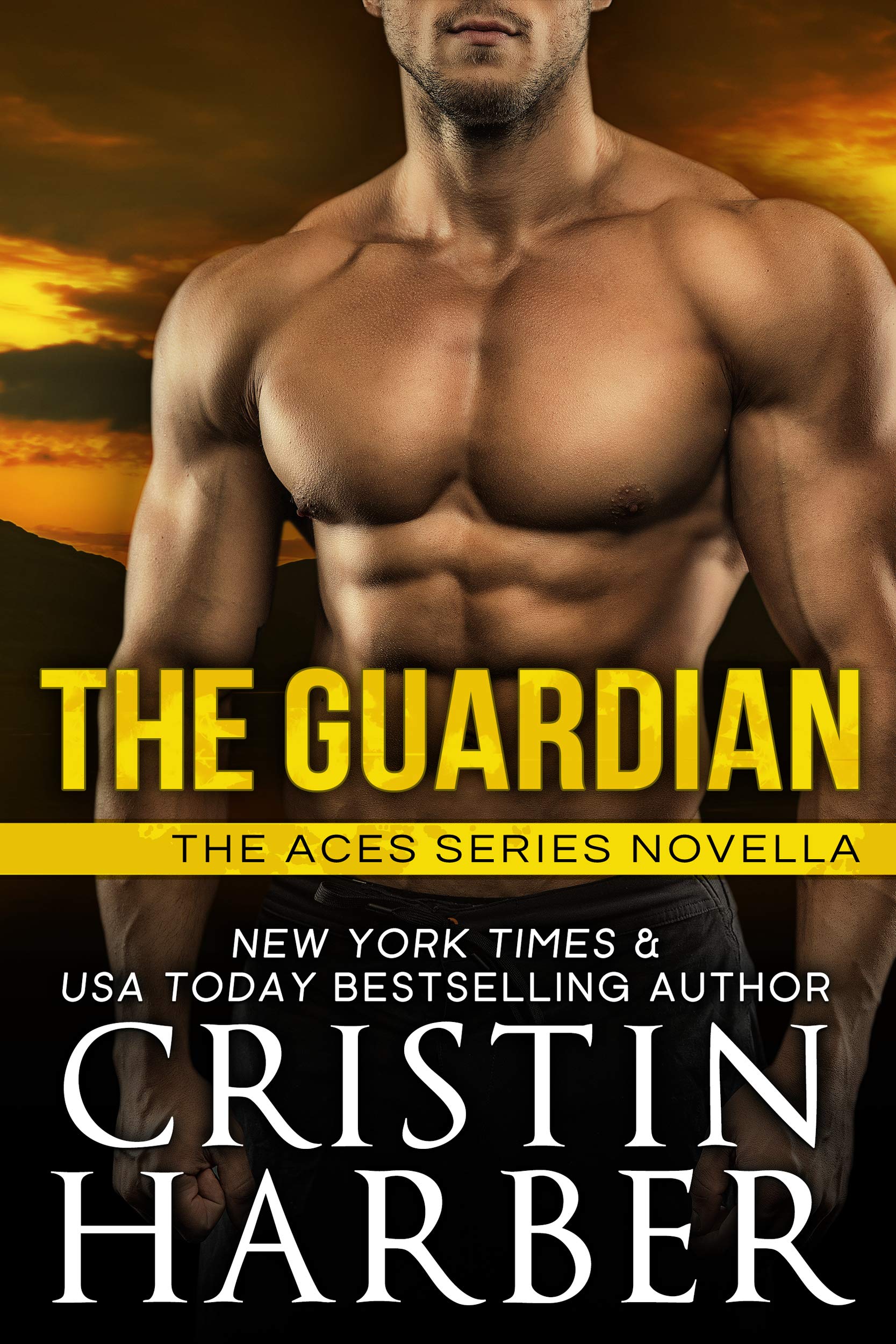The Guardian (Aces #3.5)