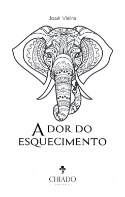 A Dor do Esquecimento (ebook)