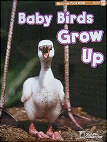 Reach into Phonics 1 (Read On Your Own Books): Baby Birds Grow Up