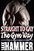 Straight to Gay the Gym Way by Jake Hammer