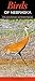 Birds of Nebraska: A Guide ...