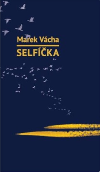 Selfíčka (Paperback)