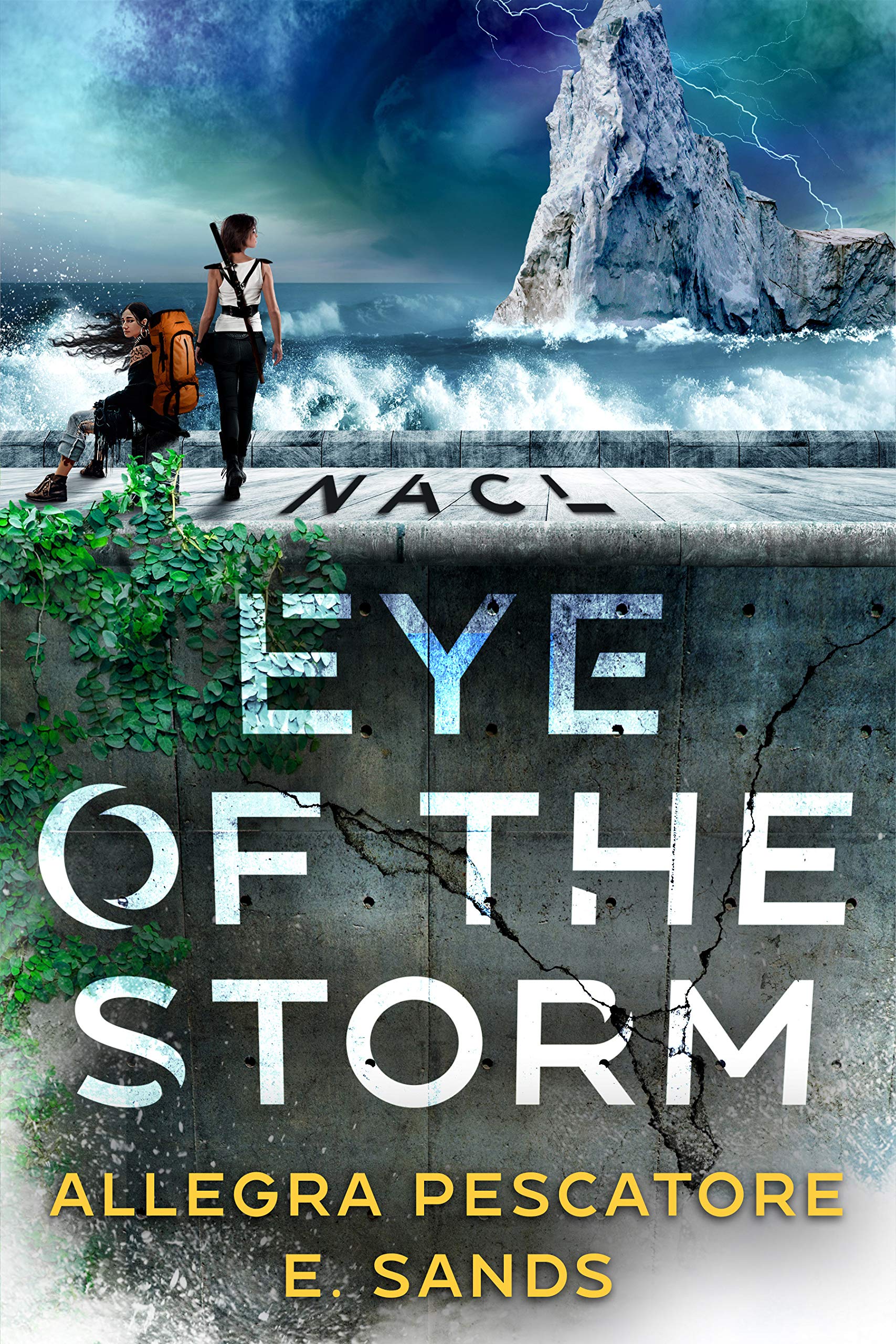 NACL: Eye of the Storm (Kindle Edition)