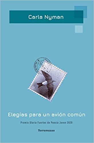 Elegías para un avión común