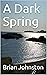A Dark Spring by Brian   Johnston