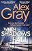 When Shadows Fall (DSI William Lorimer)
