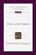 Joel and Amos: An Introduction and Commentary (Volume 25)
