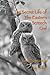 The Secret Life of Eastern Screech Owl by Song Fan