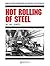 Hot Rolling of Steel by William L. Roberts