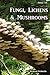 Fungi, Lichens & Mushrooms