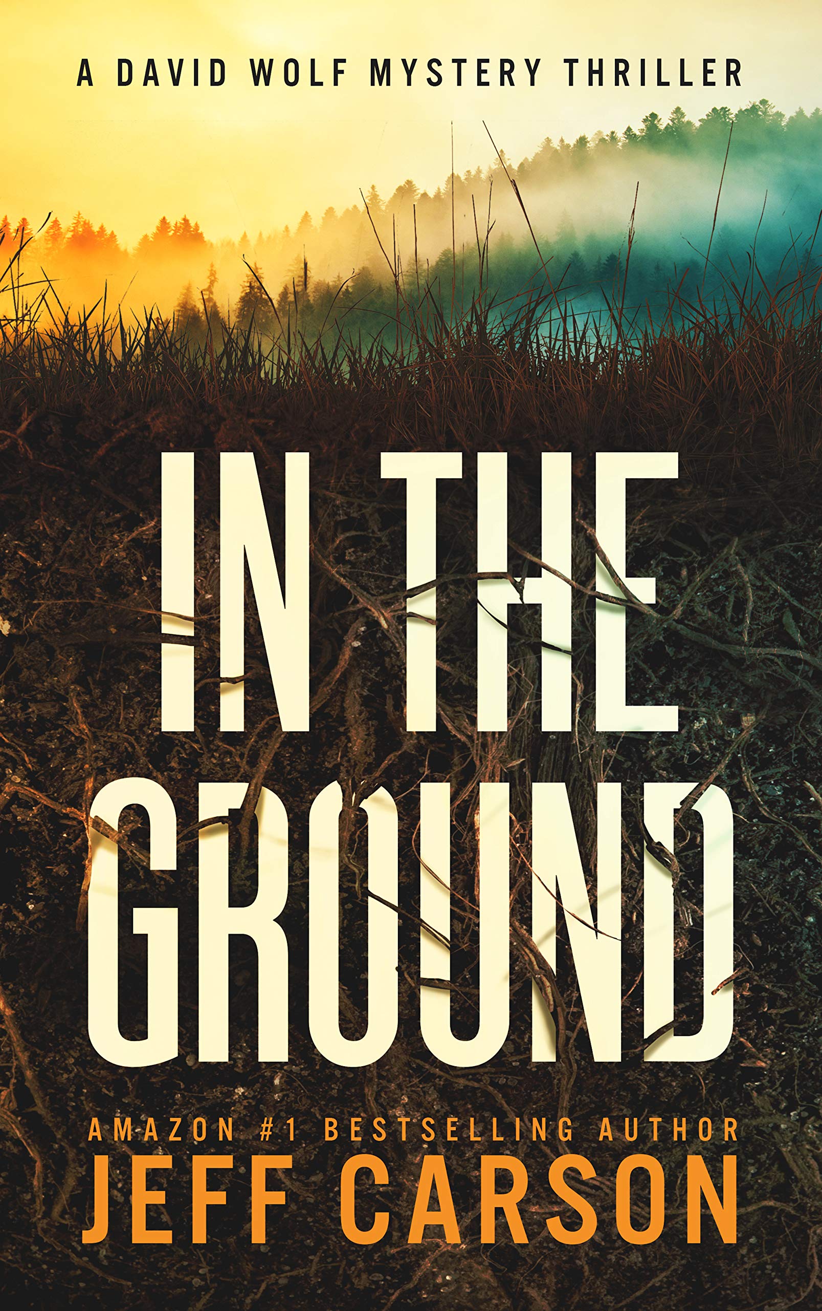 In the Ground (David Wolf, #14)