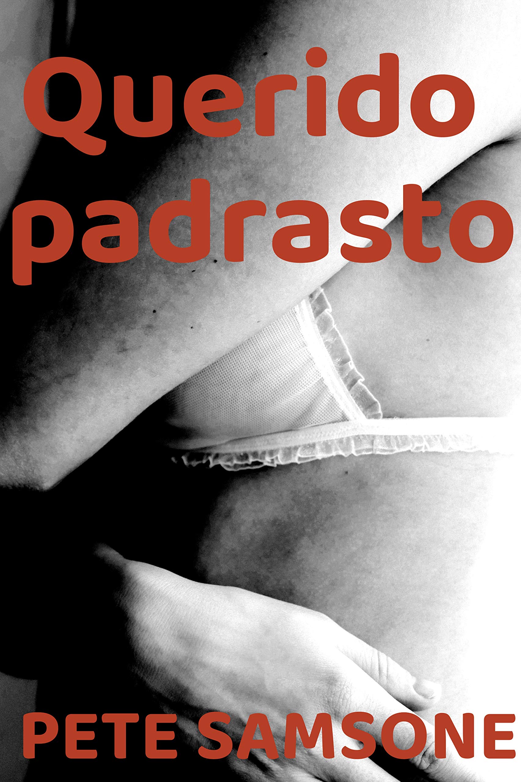 Querido padrasto (Kindle Edition)