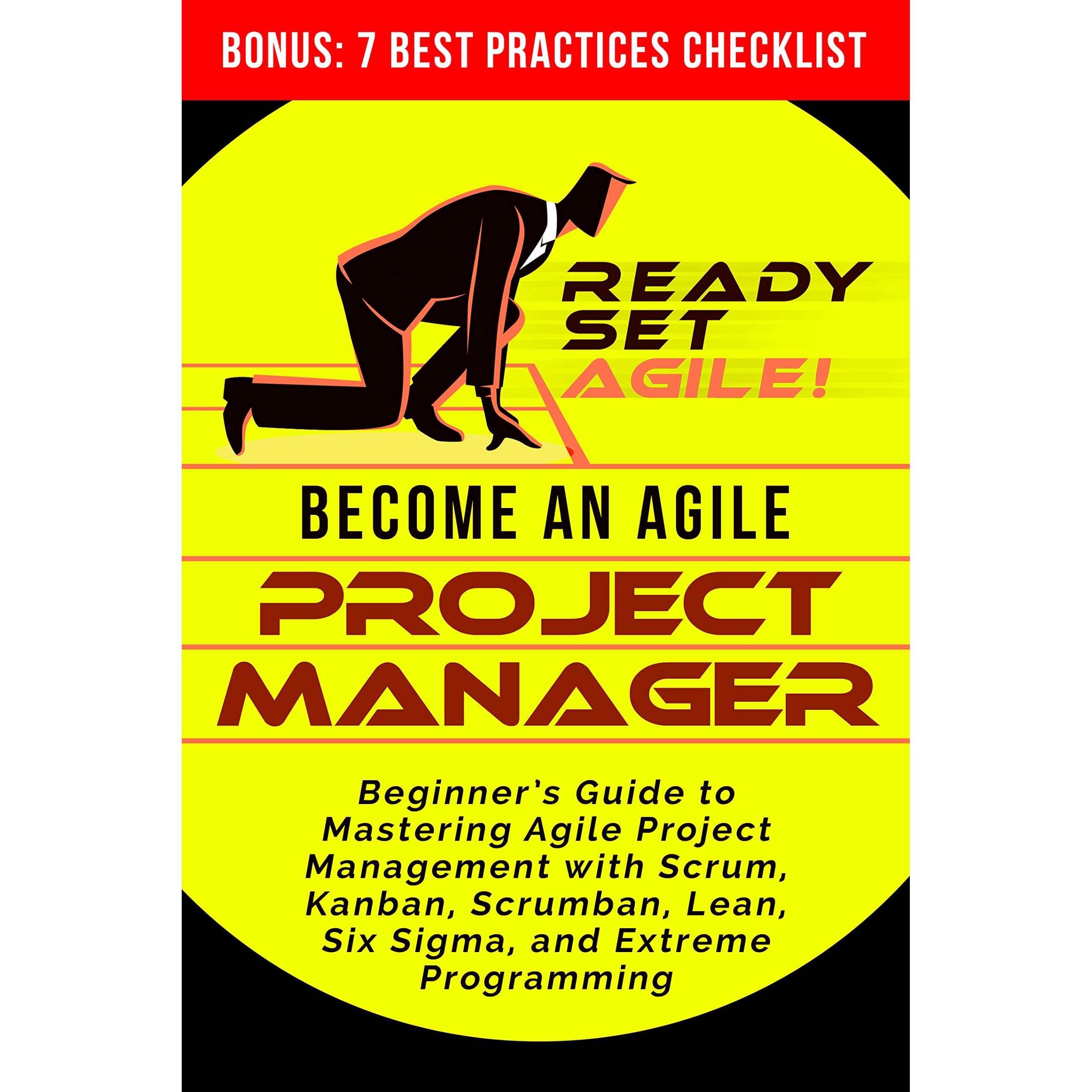 lean six sigma project manager