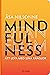 Mindfulness utan flum