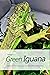 About Green Iguana: Characteristics, Housing, Diet, and Other Information: Iguana Handbook