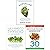 SuperLife, Hashimoto Thyroid Cookbook, The Whole Food Healthi... by Darin Olien