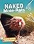 Naked Mole-Rats (Unique Animal Adaptations)