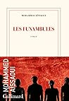 Les Funambules by Mohammed Aïssaoui