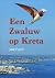 Een zwaluw op Kreta by Jaap Pegtel