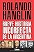 Breve historia incorrecta de la Argentina (Spanish Edition)