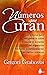 Números que curan (Spanish Edition)