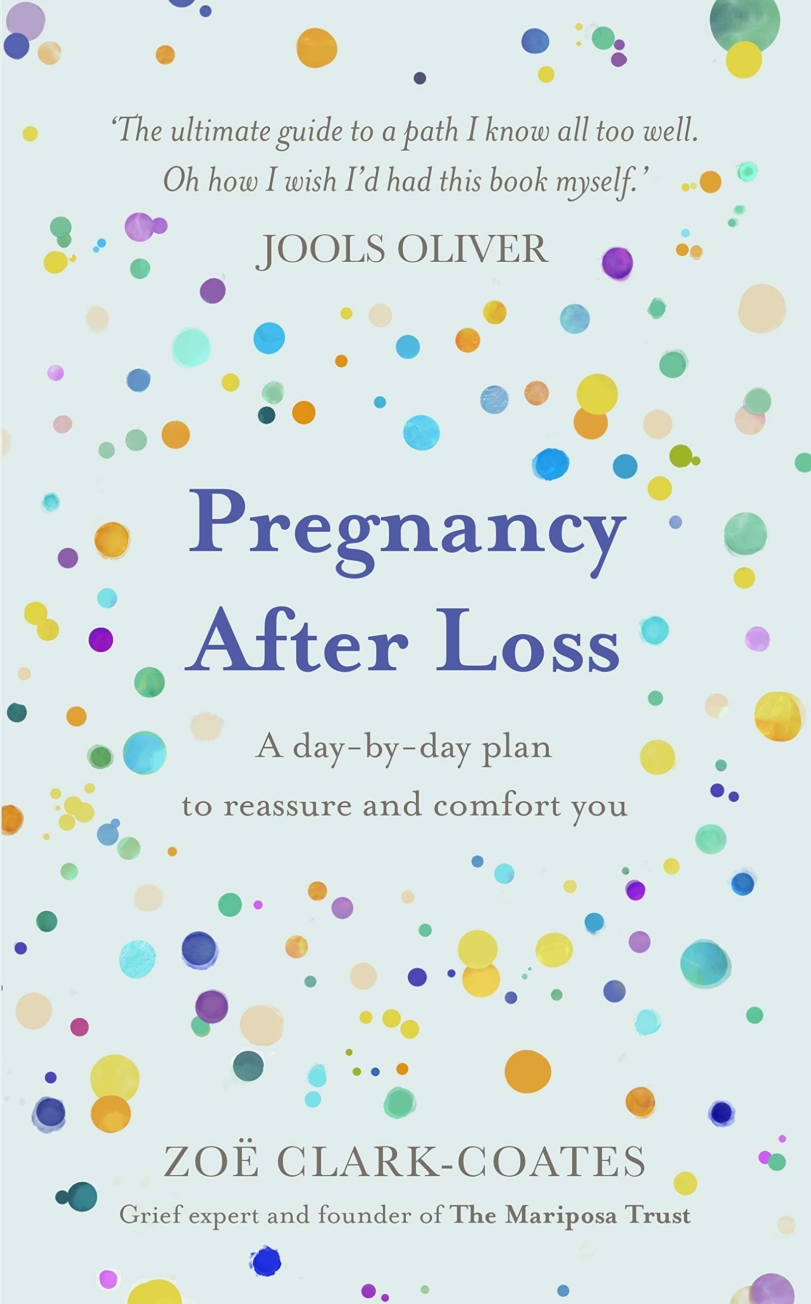 Pregnancy After Loss: A day-by-day plan to reassure and comfort you (Kindle Edition)