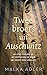 Twee broers uit Auschwitz by Malka Adler