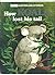 How Koala Lost His Tail