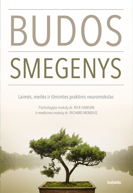 Budos smegenys: laimės, meilės ir išminties praktinis neuromokslas