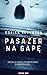 Pasażer na gapę