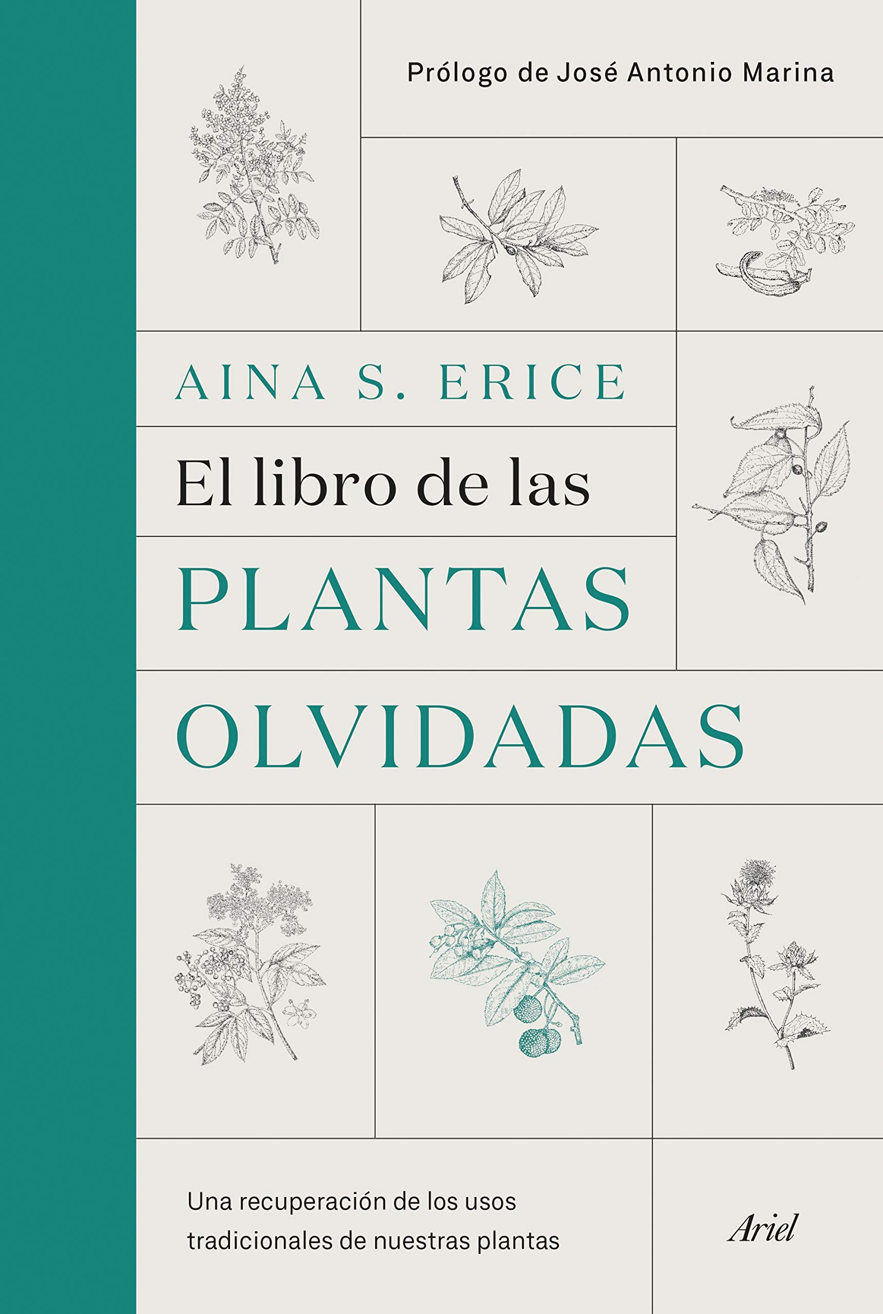 El libro de las plantas olvidadas: Una recuperación de los usos tradicionales de nuestras plantas (Hardcover)