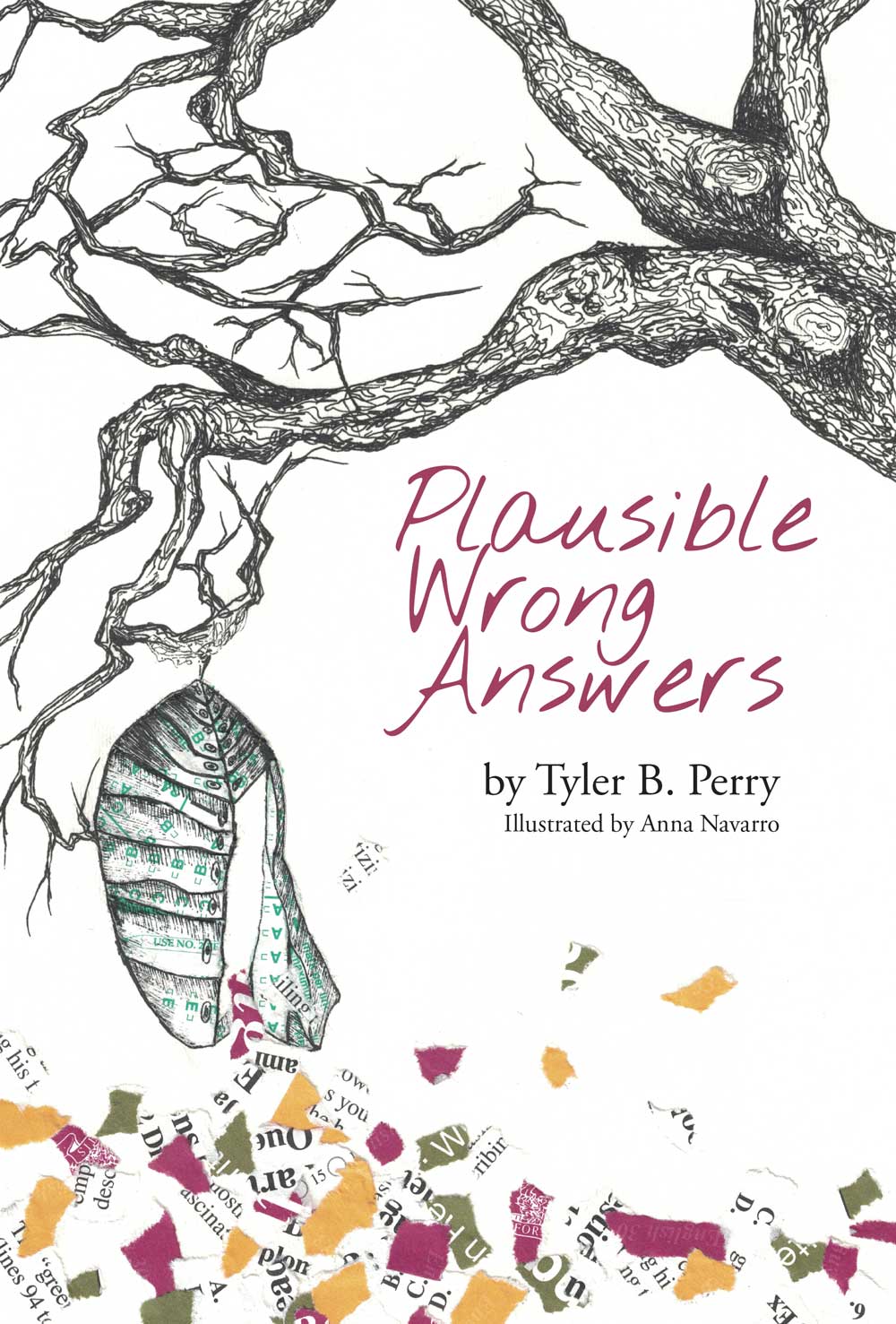 Plausible Wrong Answers (Paperback)