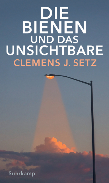 Die Bienen und das Unsichtbare (Hardcover)