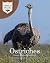 Ostriches: Junior Field Guide