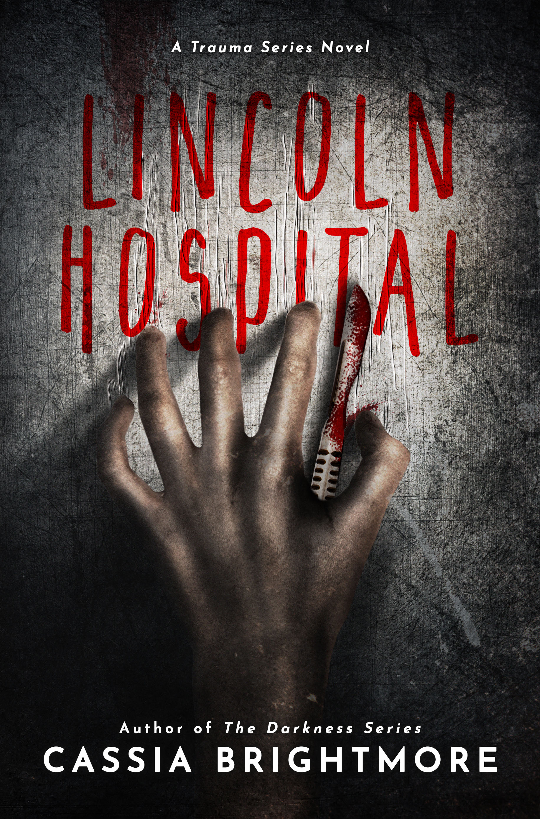 Lincoln Hospital (Trauma, #1)