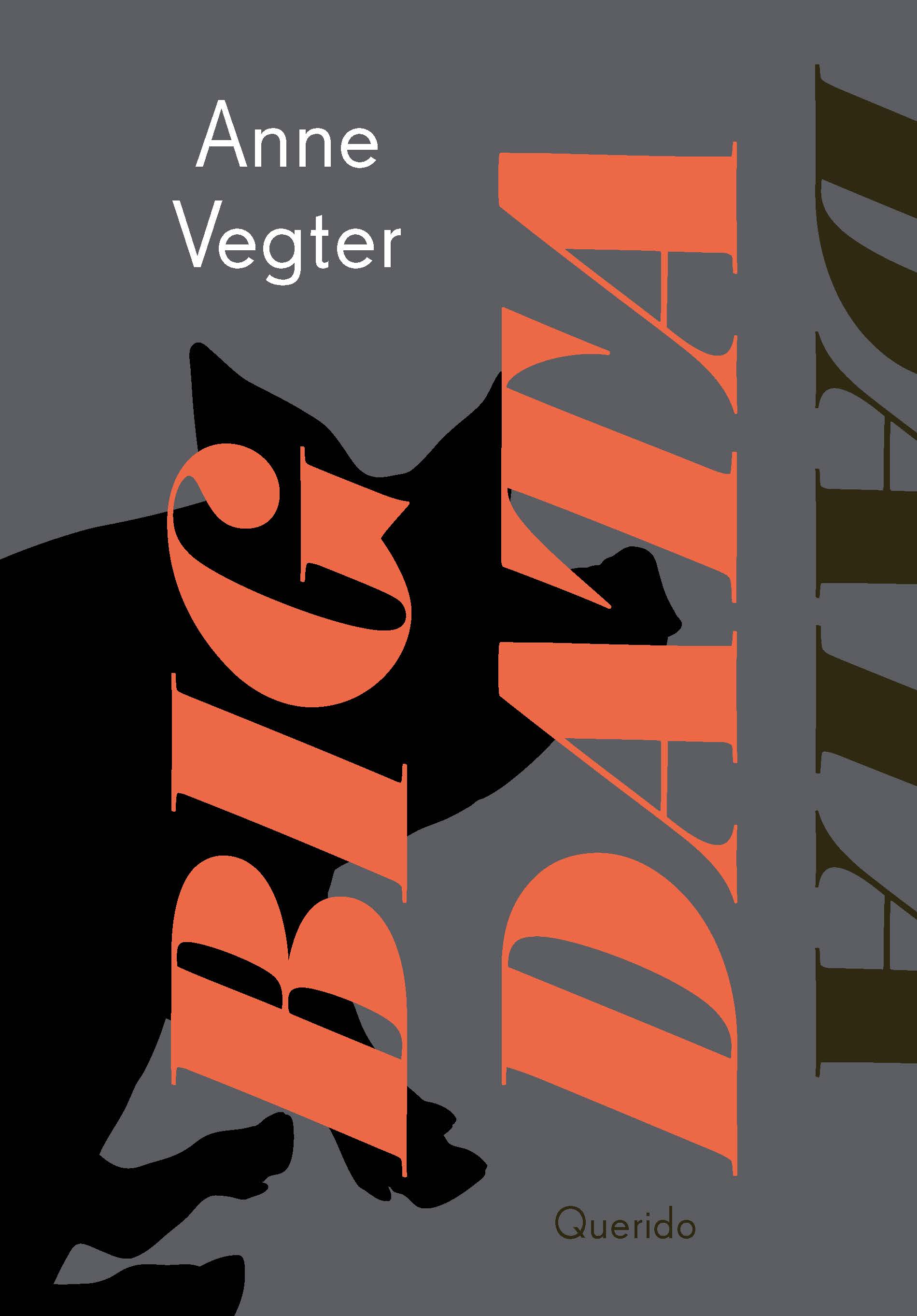 Big data (Paperback)