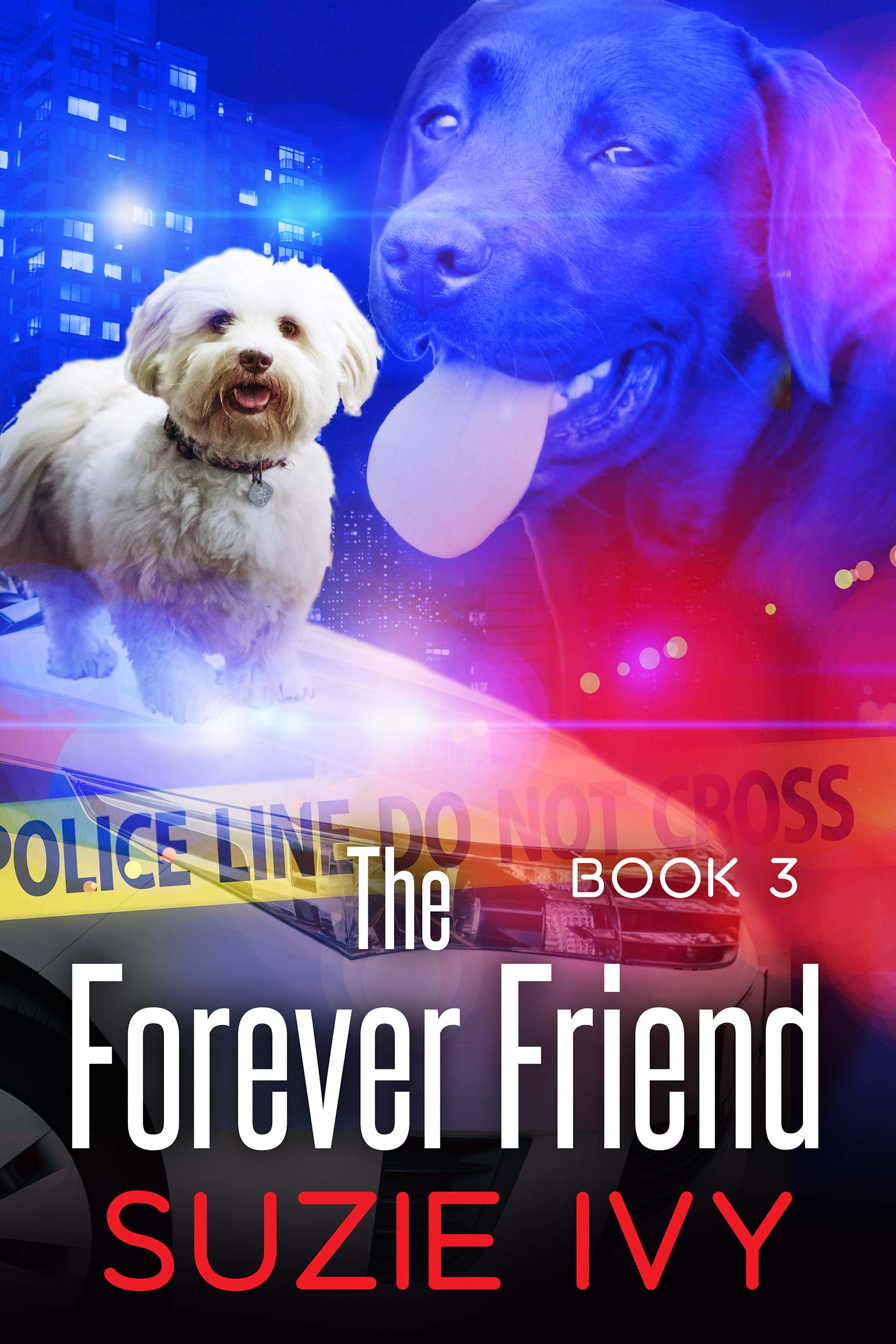 The Forever Friend (A Laci Jolett Mystery Book 3)