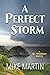 A Perfect Storm by Mike  Martin