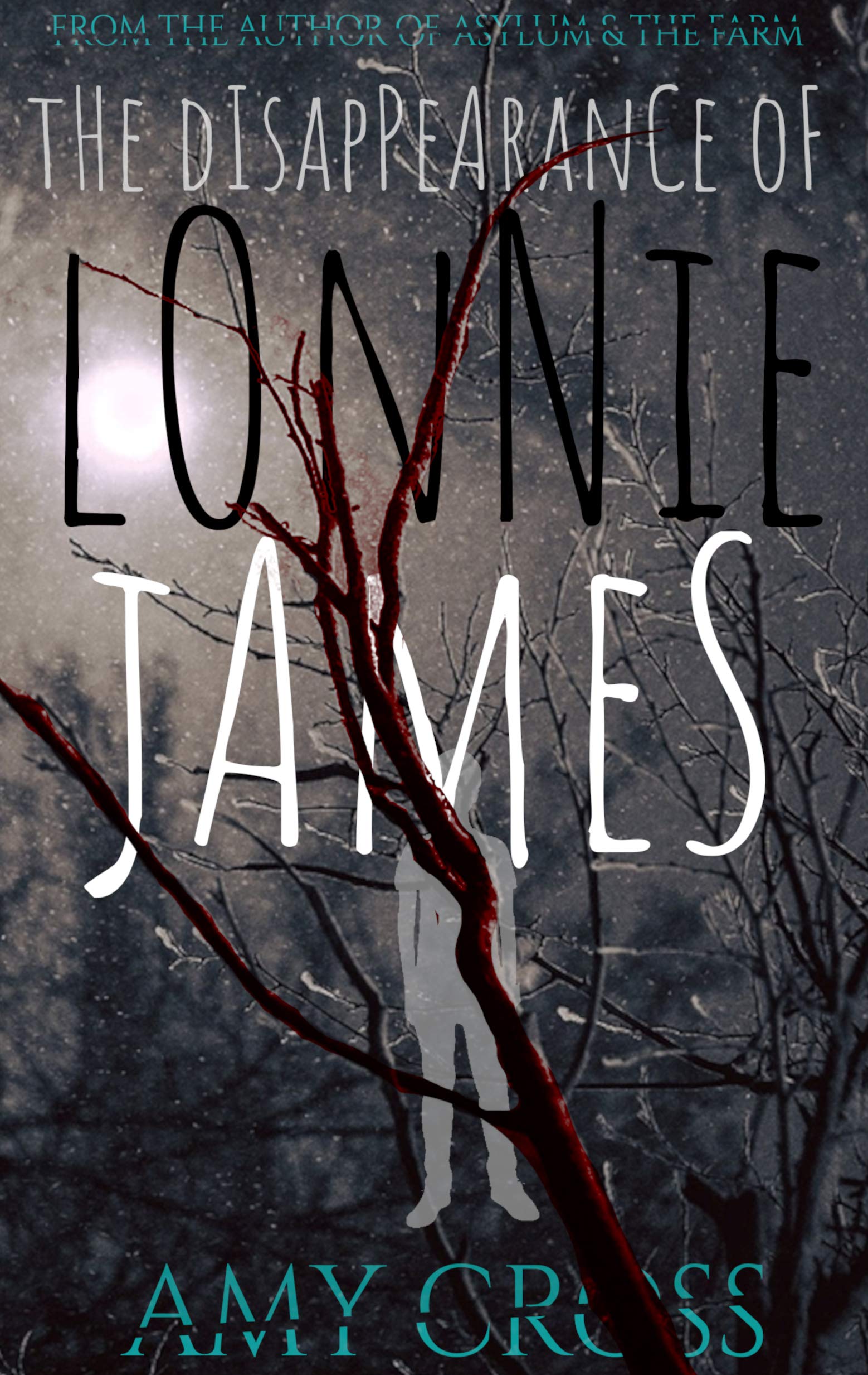 The Disappearance of Lonnie James (Kindle Edition)
