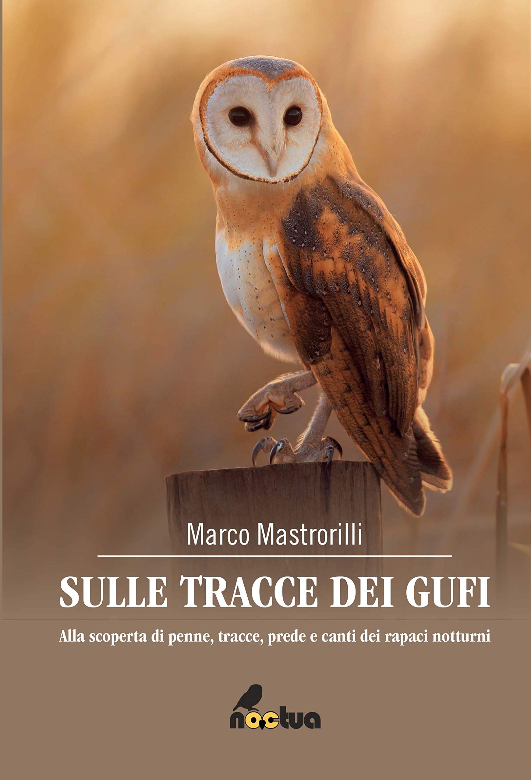 Sulle tracce dei gufi