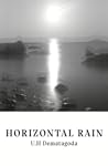 Horizontal Rain