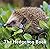 The Hedgehog Book