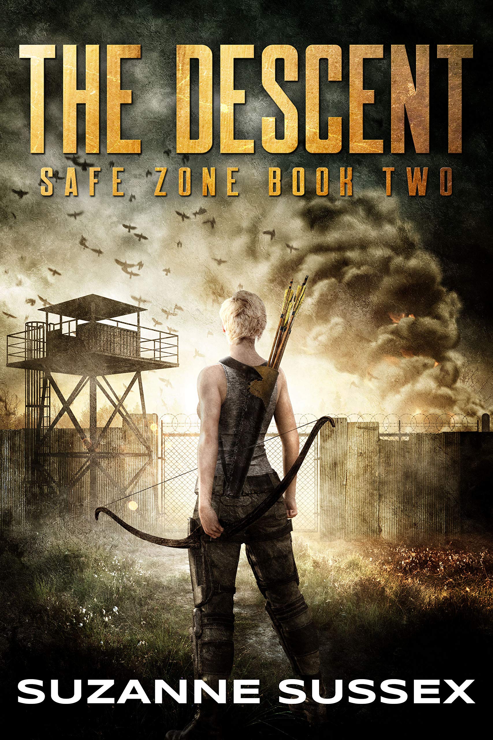 The Descent (Safe Zone, #2)