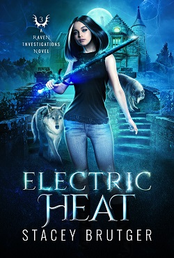 Electric Heat (Raven Investigations, #3)