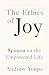 The Ethics of Joy by Andrew Youpa