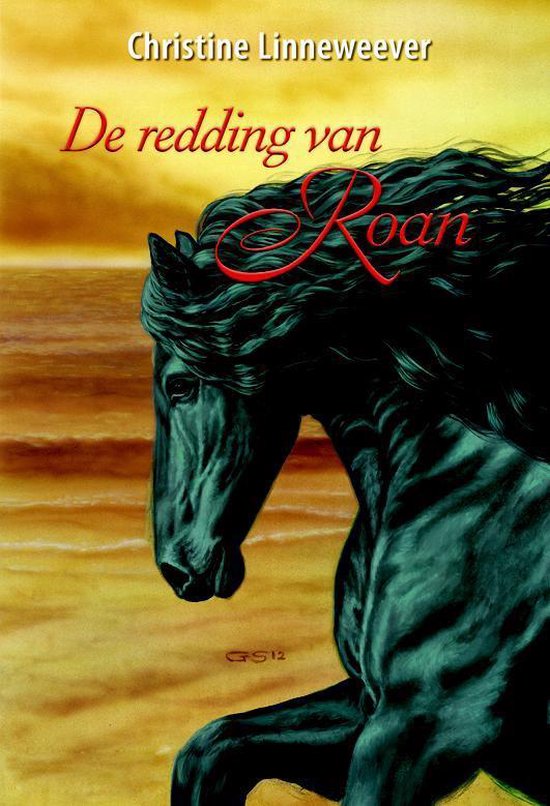 De redding van Roan (Hardcover)