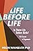 Life Before Life by Helen Wambach