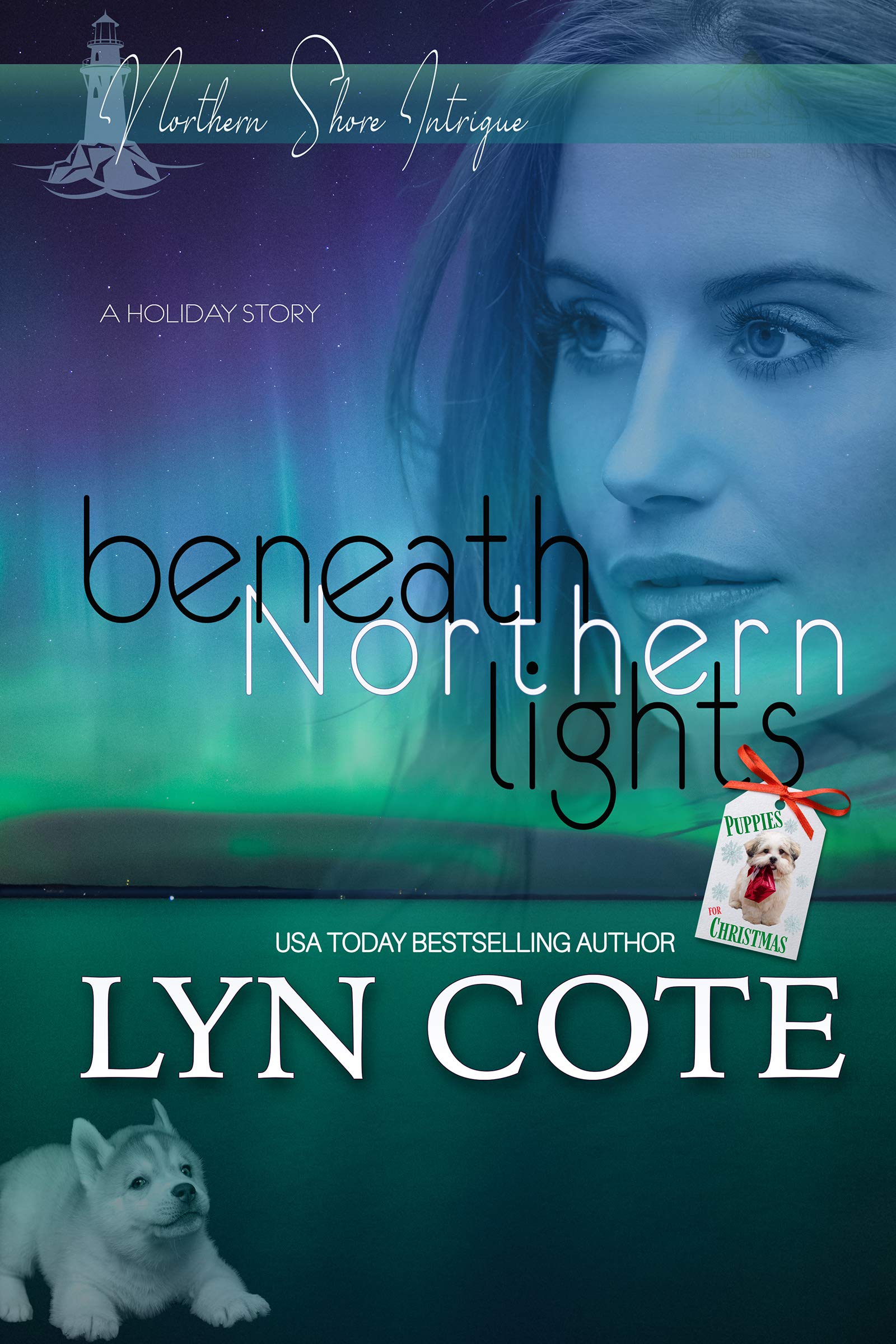 Beneath Northern Lights  (Northern Shore Intrigue #4)