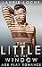 The Little in the Window: A...