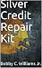 Silver Credit Repair
